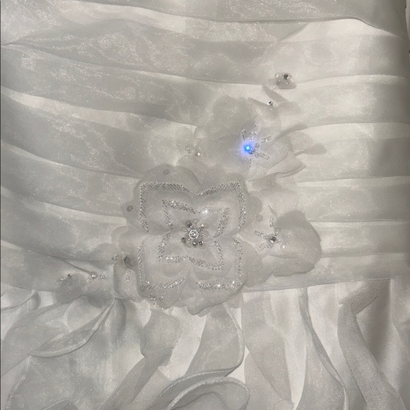 David's Bridal Organza Fit and Flare Gown with Vertical Ruffle size 12 - Picture 4 of 8